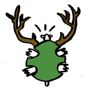 The deer and the turtle
